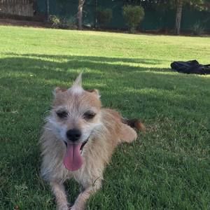 Meet your Posher, Markus